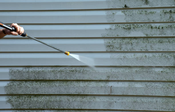 Mold Testing and Removal in Abingdon, VA