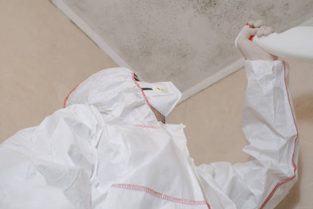 Best Crawl Space Mold Removal  in Abingdon, VA