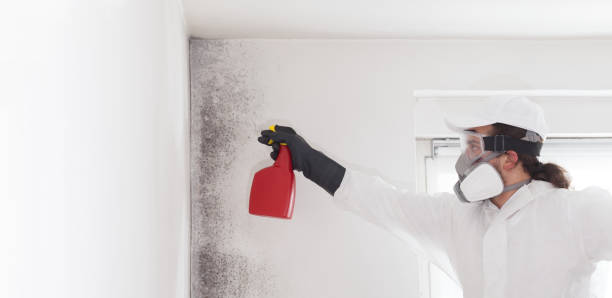 Water Damage Restoration in Abingdon, VA