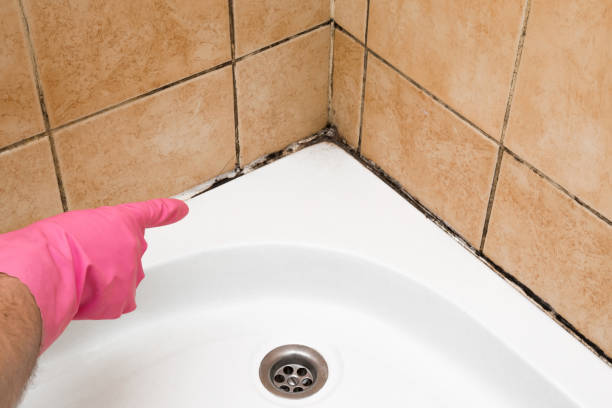 Best Emergency Mold Removal  in Abingdon, VA